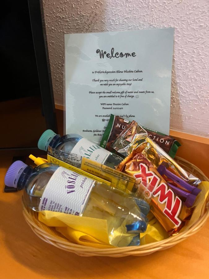 Fruehstueckspension Elena Nicoleta Caltun Fischamend Bagian luar foto