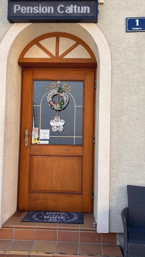 Fruehstueckspension Elena Nicoleta Caltun Fischamend Bagian luar foto