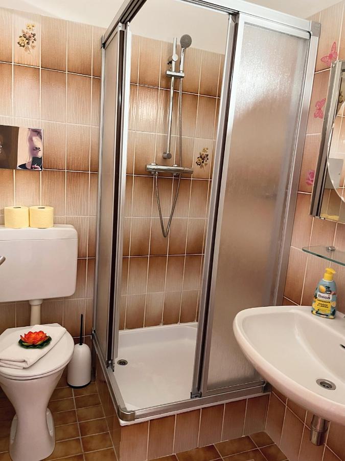 Fruehstueckspension Elena Nicoleta Caltun Fischamend Bagian luar foto
