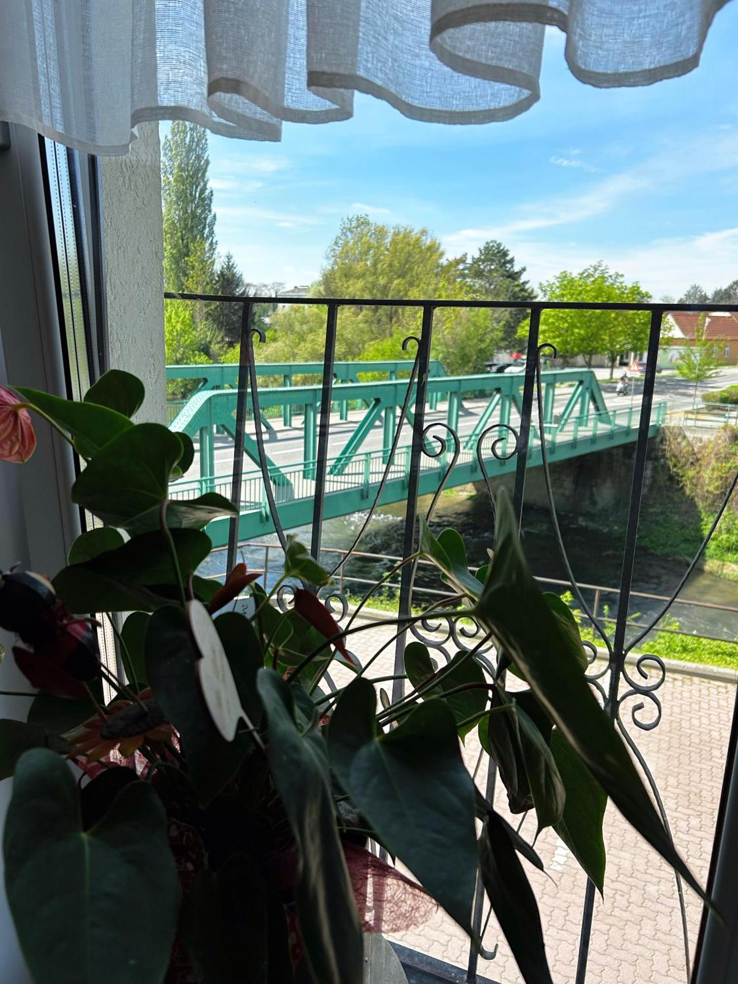 Fruehstueckspension Elena Nicoleta Caltun Fischamend Bagian luar foto